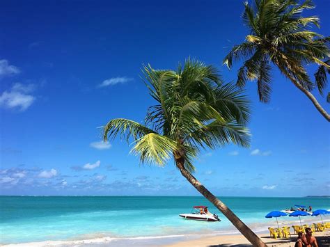 Things To Do Maragogi