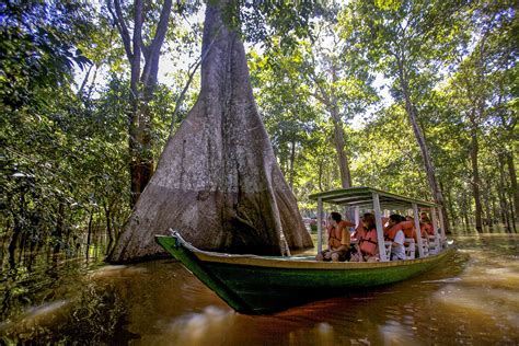 Things to Know Before Visiting the Amazon