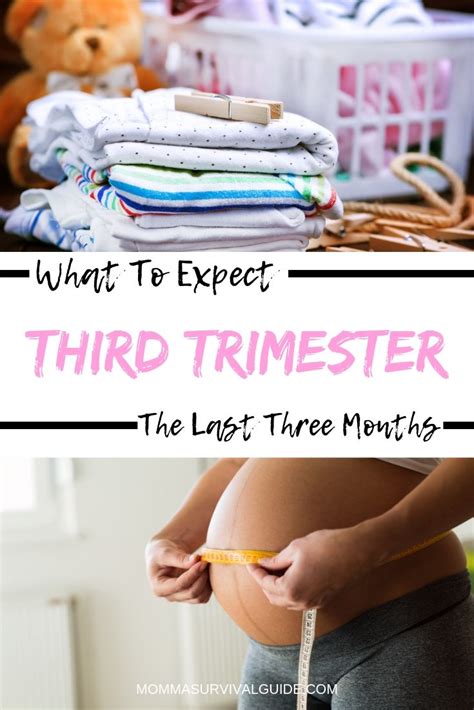 Third Trimester Guide: What To Expect