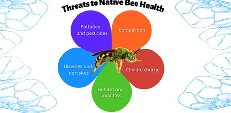 Threats to Native Bees