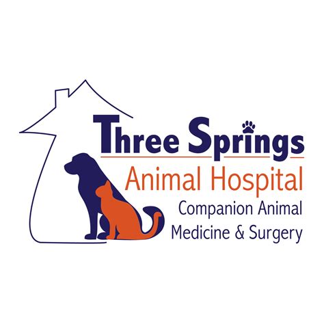 Top-Quality Veterinary Care for Your Furry Friends at Three Springs Animal Hospital
