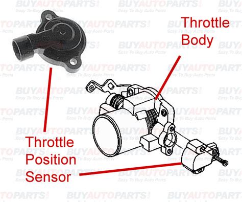 Throttle Position Sensor