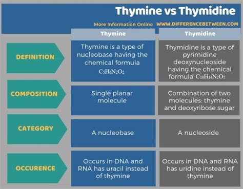Thymine Or