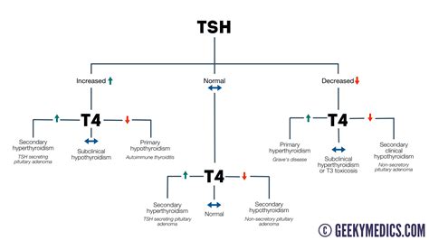 Thyroid Function Test