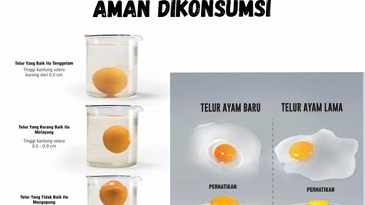 Tidak Menggunakan Telur, Resep4-10k