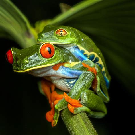 Tifakara Adventures: An In-Depth Review and Recommendations