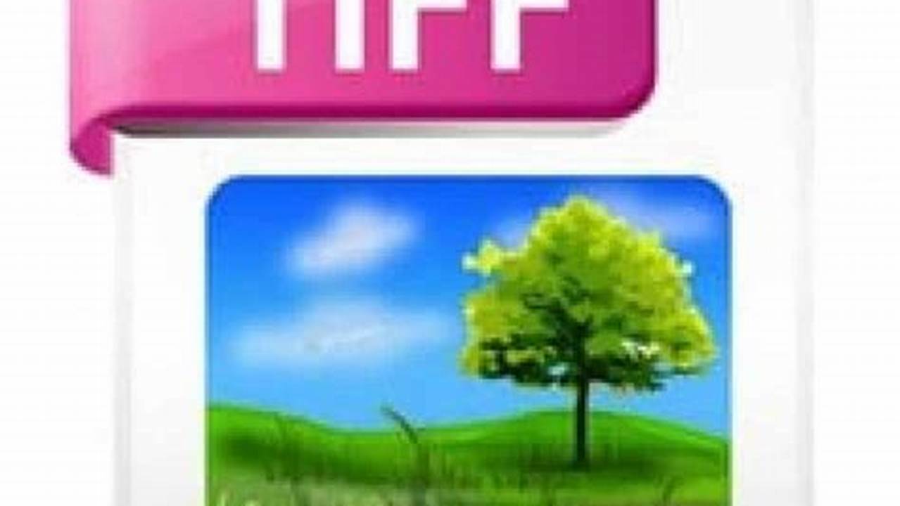 Tiff 2024 Packages Java