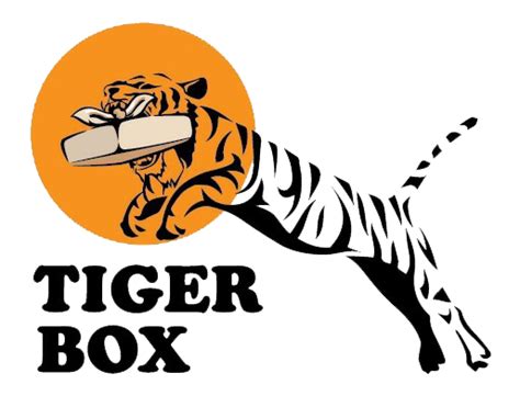 Tiger Box Korean Food