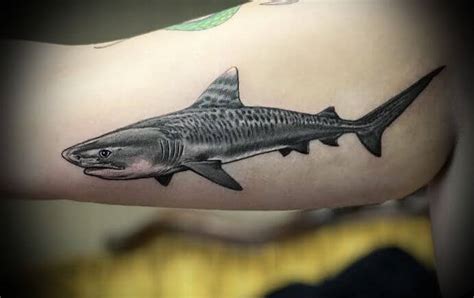50 Tiger Shark Tattoo Designs For Men Sea Tiger Ink Ideas