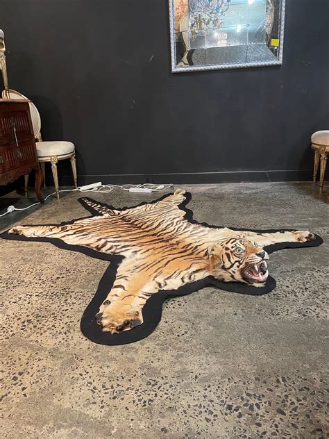Luxuriate in the Exotic Sensuality of a Tiger Skin Rug: Explore Our Prices Now!