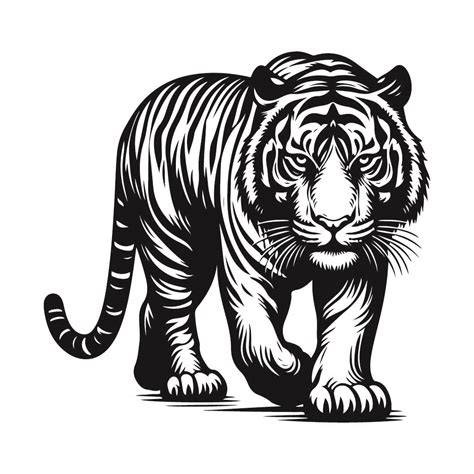 Unleash the Roaring Power of Your Projects with Mesmerizing Tiger SVG Images!