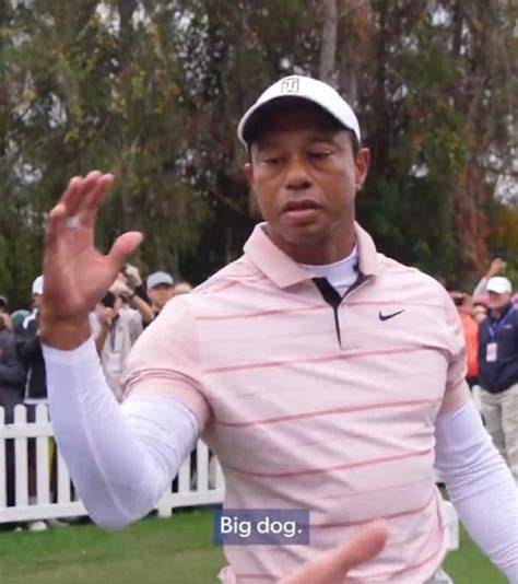 Tiger Woods Meme Template - Great Research