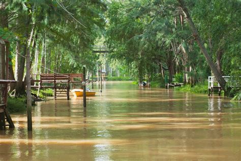 Tigre Delta Ecosystem