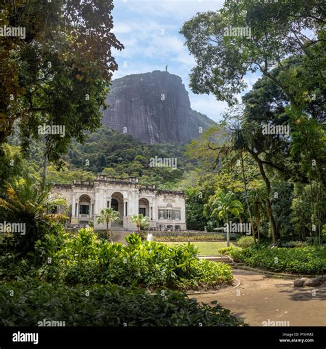 Tijuca Forest