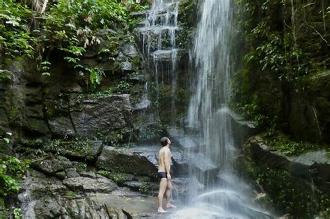 Tijuca Forest Waterfalls