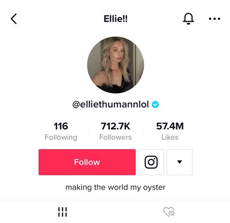 TikTok Bio