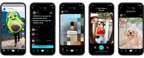 TikTok Features