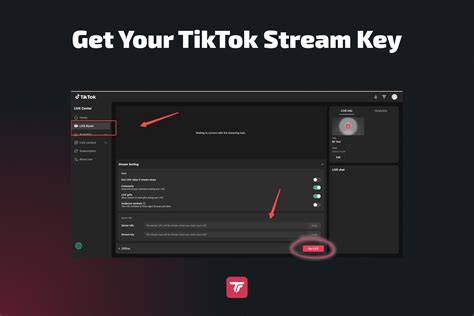 TikTok OBS申請フォームのイメージ