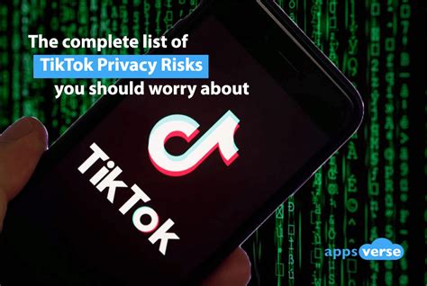 TikTok User Safety and Privacy Issues in Indonesia