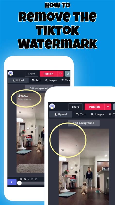 TikTok Watermark Remover