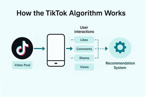 TikTokのアルゴリズムとコンテンツ発見の仕組みのイメージ