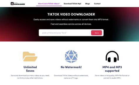 TikTok動画ダウンロードツールのインターフェース