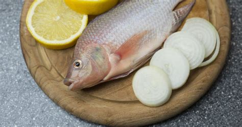 Tilapia: A Versatile Fish