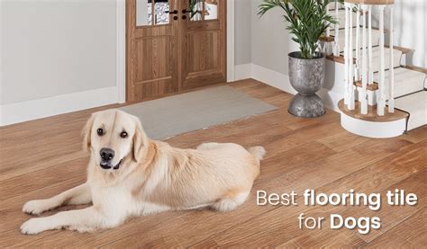 Tile For Dogs