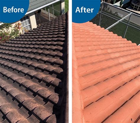 Tile Roof Cleaning