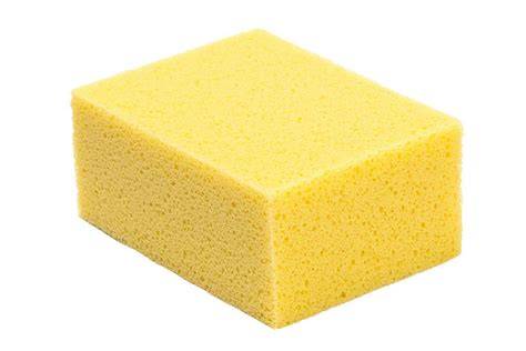 Tile Sponge