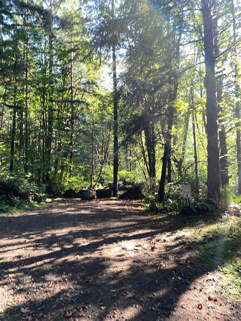 Experience Majestic Wilderness: Discover Heavenly Camping in Tillamook State Forest