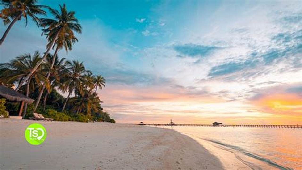 Timeshare Weeks For 2024