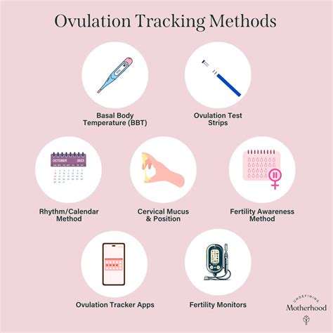 Timing is Everything: Mastering Ovulation Tracking