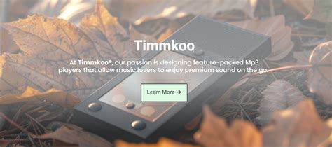 Timmkoo Mp3 Player Firmware Update