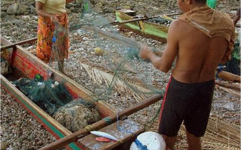 Timor-Leste'S Fisheries Sector