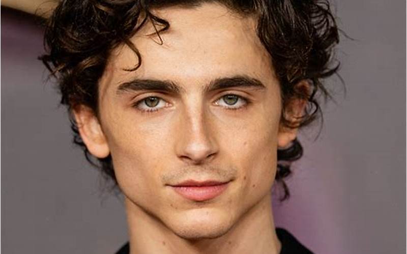Timothée Chalamet Height and Weight