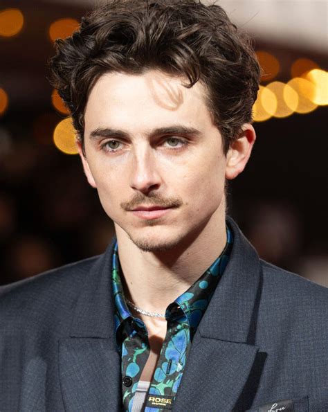 Timothee Businass Complete Collection: Updated 2026