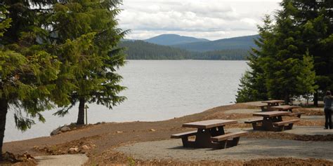 Timothy Lake Camping