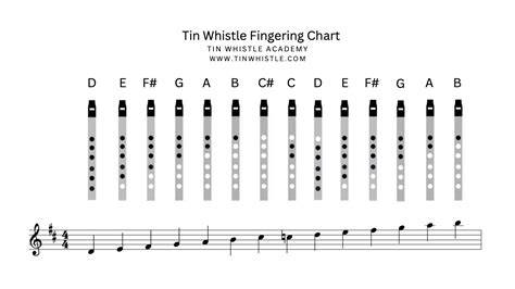 Tin Whistle Finger Chart Complete Notes