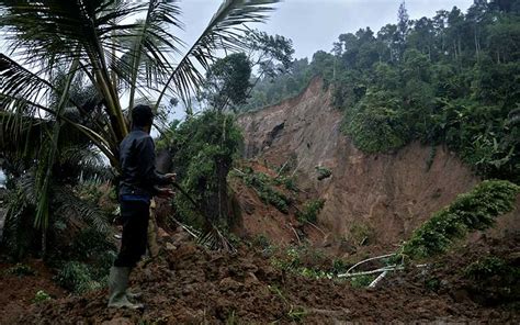 Tingginya Curah Hujan Di Indonesia Sangat Mendukung Terbentuknya Hutan