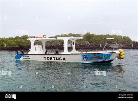 Tintoreras Islet Tour Boat