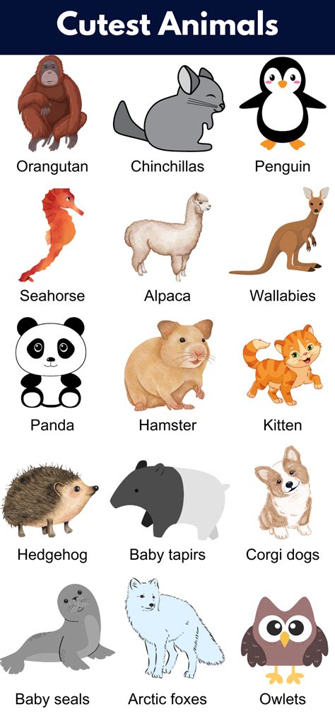 Tiny Cute Animals List