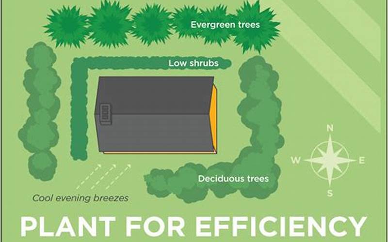 Tip 9: Use Energy-Efficient Landscaping