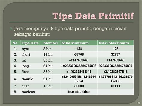 Tipe Data Primitif: Dasar Pemrograman Efektif