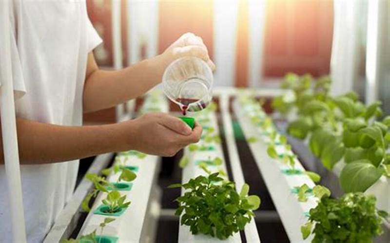what is the best fertilizer for hydroponics