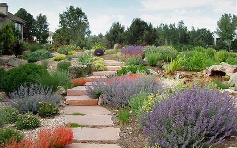 Tips For Gardening In Colorado
