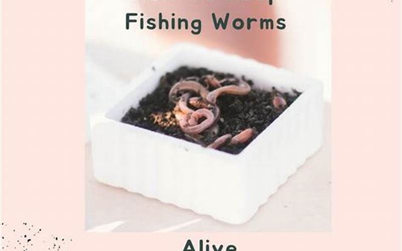 do worms drown in aquaponics