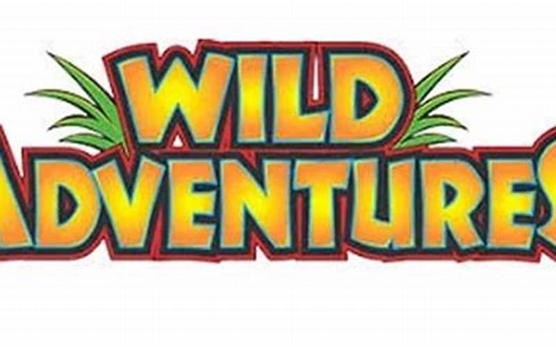 Tips For Maximizing Your Savings With Wild Adventures Promo Codes