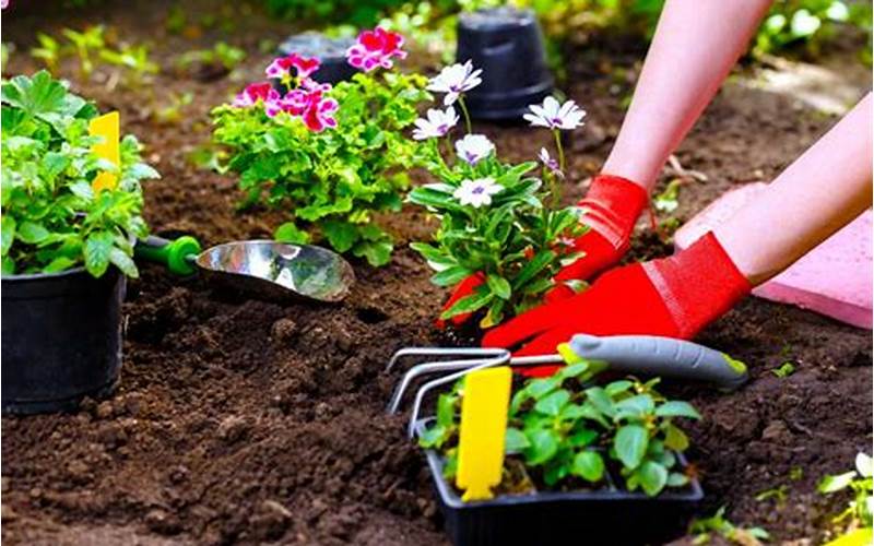 Tips For Planting Flowers