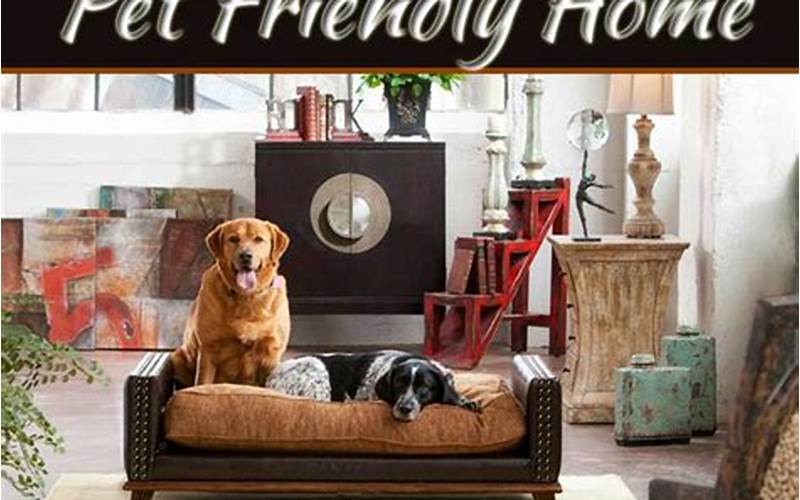 Tips For Renting A Pet-Friendly House